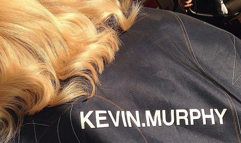 KEVIN.MURPHY NIGHT.RIDER